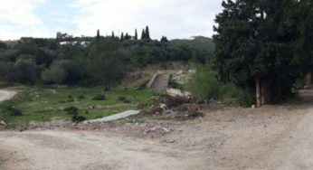 Tunisie- Des lobbies veulent transformer la forêt de Sidi Amor à Raoued en une zone de construction anarchique
