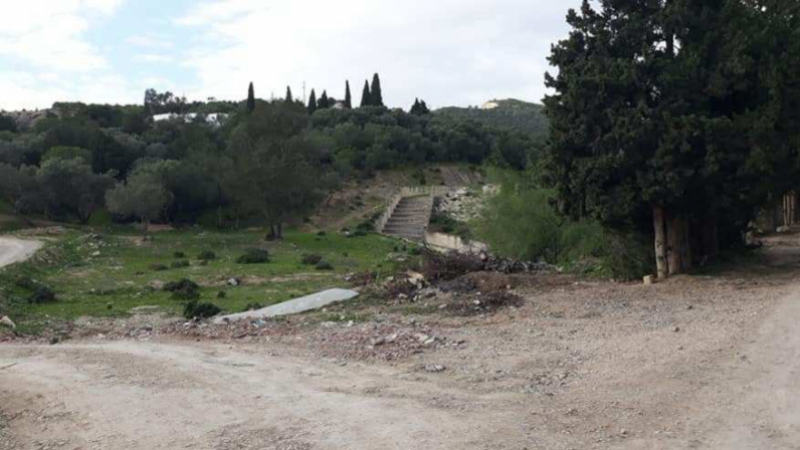 Tunisie- Des lobbies veulent transformer la forêt de Sidi Amor à Raoued en une zone de construction anarchique
