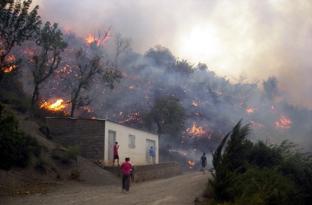 L’Algérie décrète l’état d’urgence maximale en raison de la propagation des incendies