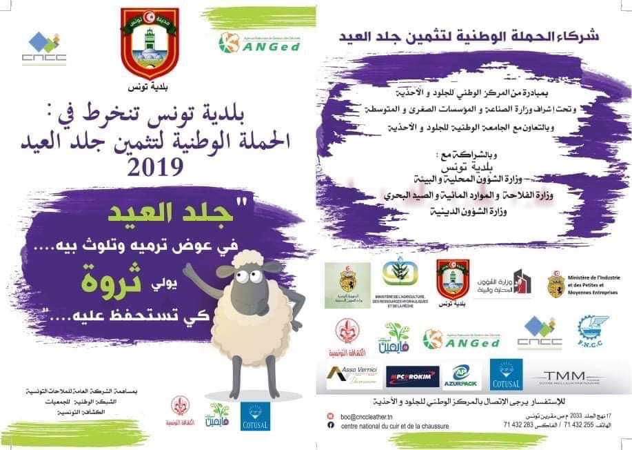 Tunisie- Lancement d’une campagne visant à exploiter et valoriser les peaux des moutons