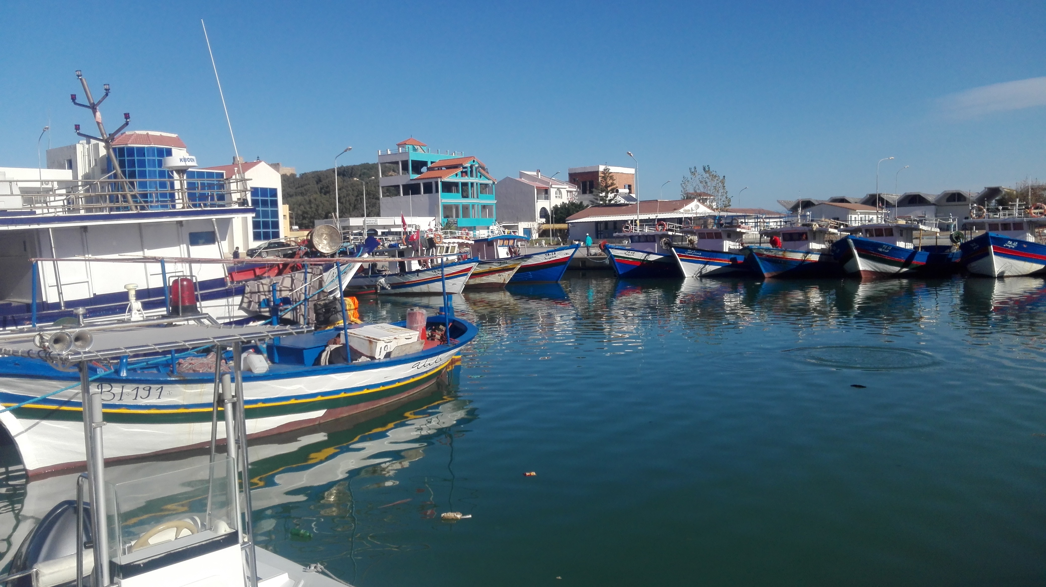 Tunisie: L’Agence des ports et des installations de pêche recrute