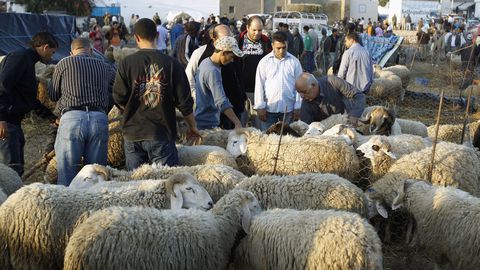 Tunisie: Faible engouement des citoyens pour l’achat des moutons de l’Aïd