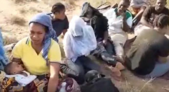 Tunisie: Régularisation de la situation des migrants clandestins refoulés dans le désert
