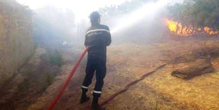Tunisie – La protection civile réussit à circonscrire un incendie à Hammamet