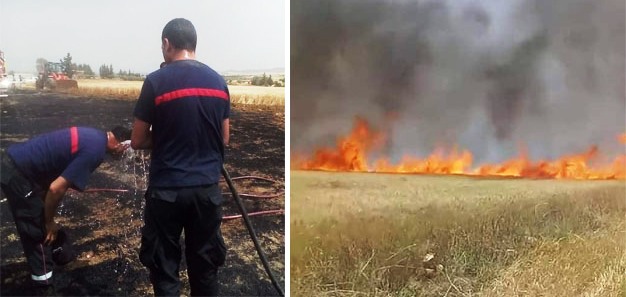 Tunisie – AUDIO : Seul 1% des incendies de forêts et de champs est de cause naturelle