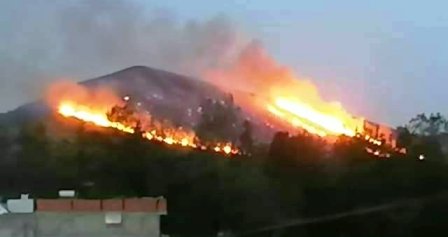Tunisie : Un incendie  détruit des dizaines d’hectares de forêt à La Manouba et l’Ariana