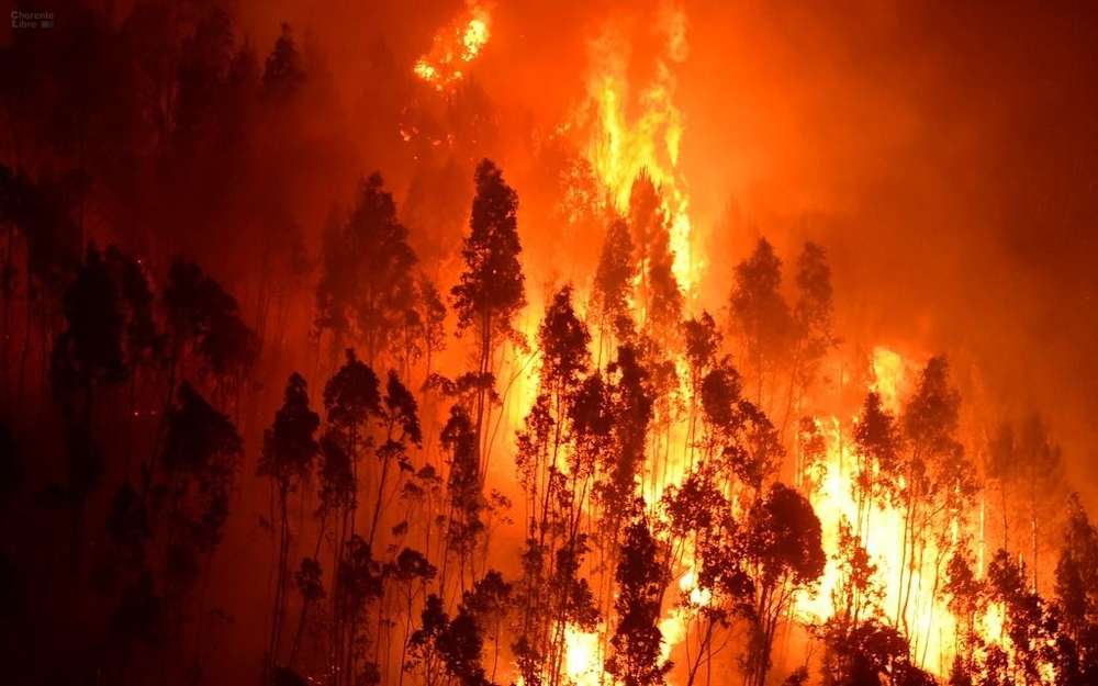 Espagne: Un violent incendie ravage quelque 3400 hectares à l’île de Grande Canarie