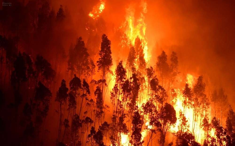 Tunisie-Protection civile: 90 incendies maîtrisés hier