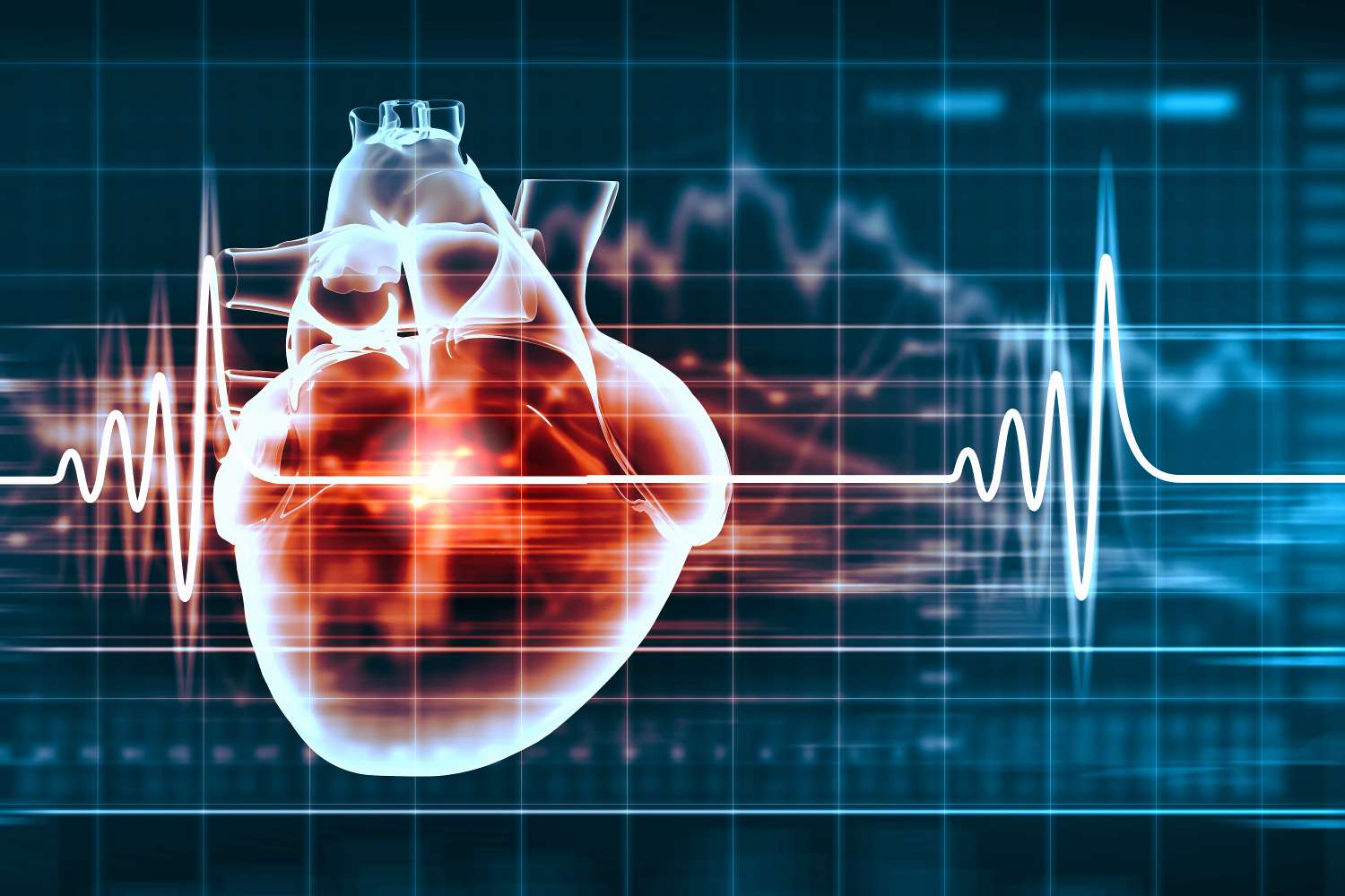Tunisie-Les maladies cardiovasculaires causent 30% des décès enregistrés chaque année en Tunisie