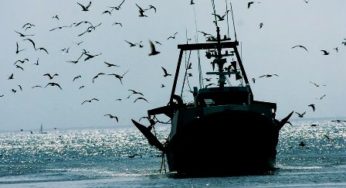 Tunisie – Un marin pêcheur meurt en haute mer