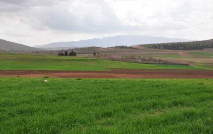 Domaines de l’Etat : récupération de 25 hectares à El Battan et Medjez El Bab.