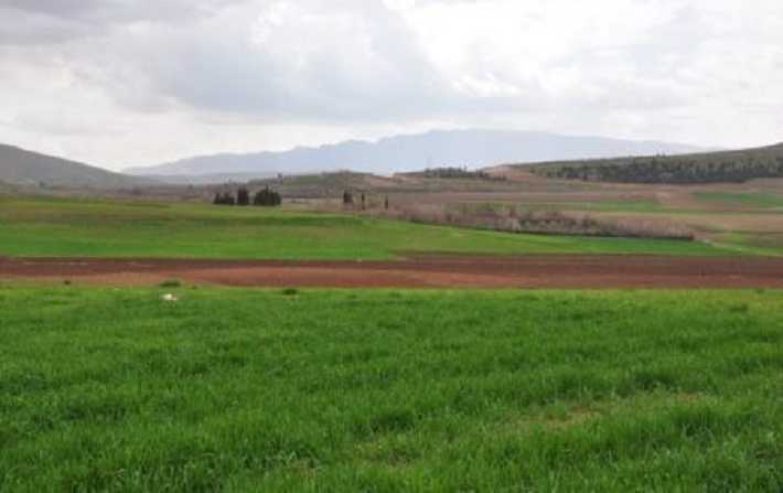 Tunisie: Manouba : Le ministère des Domaines de l’Etat récupère 10 hectares de terres domaniales