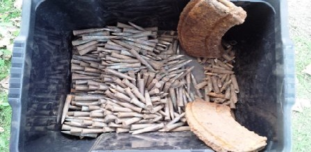 Tunisie – Sfax : Un citoyen trouve des réserves de munitions enterrées dans son jardin