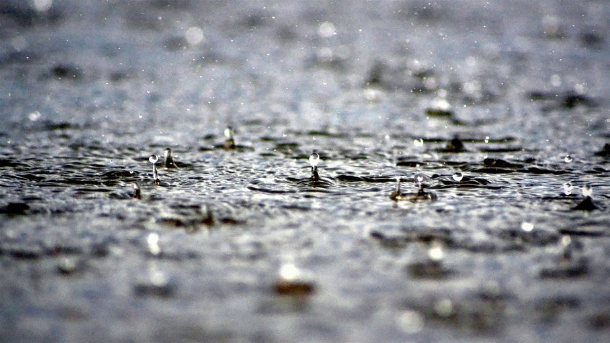 Alerte météo : Des pluies temporairement orageuses sont attendues à partir de demain