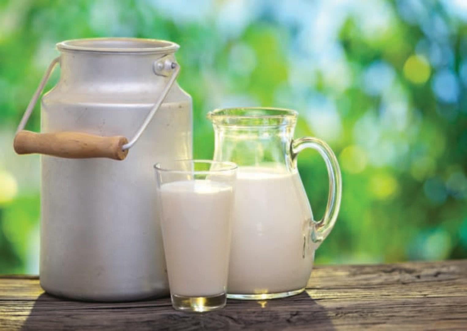 Le stock du lait couvre les besoins de consommation pour le Ramadan