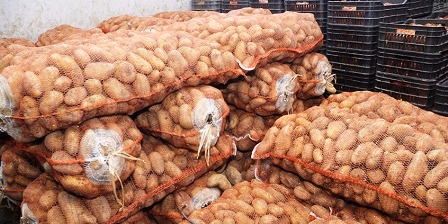 Tunisie – Kasserine : Saisie de 7 tonnes de pommes de terre destinées au marché parallèle