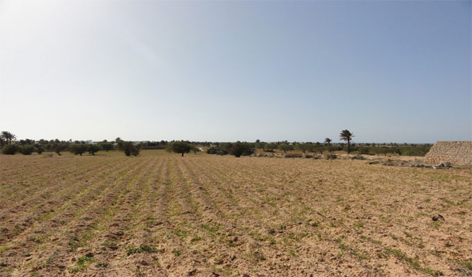 Tunisie- Récupération d’un terrain domanial agricole d’une superficie 24 hectares à la Manouba