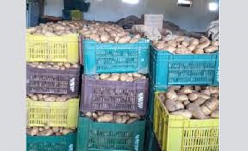 Tunisie: Saisie de 20 tonnes de pommes de terre dans un entrepôt clandestins à Sousse