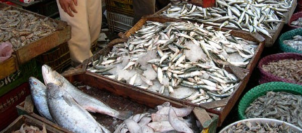 Kasserine: Saisie de 4,8 tonnes de poissons impropres à la consommation