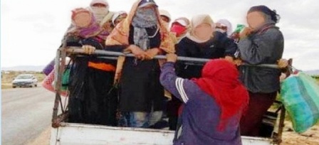 Tunisie – Décès (le énième) d’une ouvrière agricole dans une camionnette de transport d’ouvriers