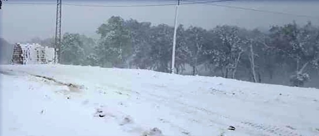 Tunisie – Début des chutes de neige au gouvernorat de Kasserine