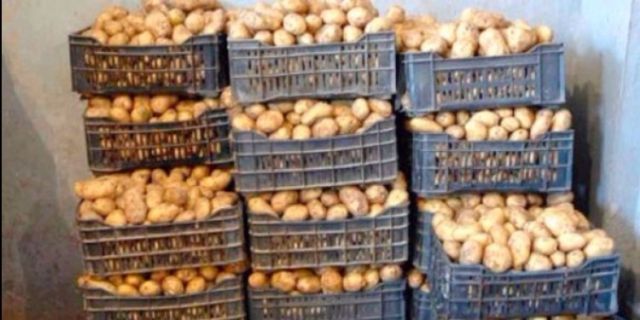 Tunisie : Saisie de trois tonnes de pomme de terre à Jendouba