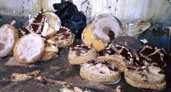 Tunisie – Boumhal : Saisie de plus de 1800 kg de gâteaux impropres à la consommation