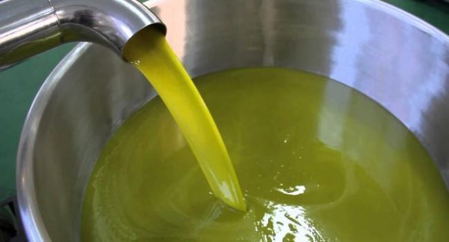 Tunisie: 5 dinars 600 millimes le prix du litre d’huile d’olive disponible à partir de lundi prochain, selon Samir Taieb