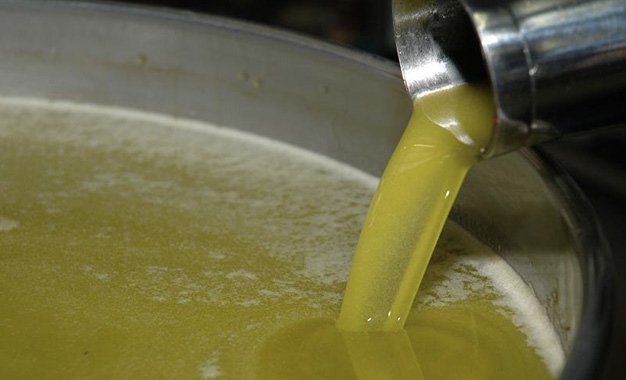 Tunisie: Les producteurs d’huile d’olive refusent le prix proposé par l’Office de l’huile