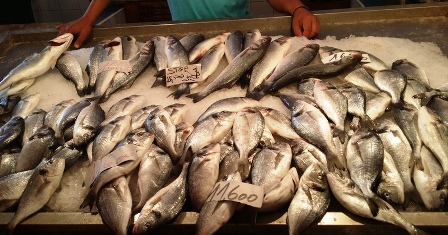 Tunisie – Bizerte : Saisie de 600 kg de poissons impropres à la consommation