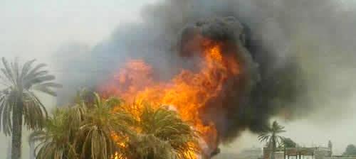 Tunisie – Tozeur : Un incendie détruit 350 palmiers