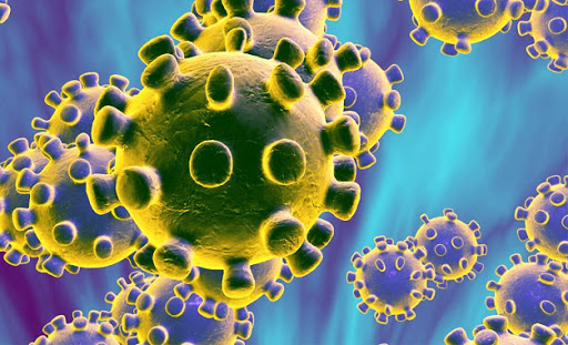 Coronavirus : Le bilan s’alourdit à 11347 cas
