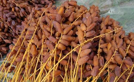 Tunisie : Plus de 12 000 tonnes de dattes exportées depuis le démarrage de la campagne de récolte à Tozeur
