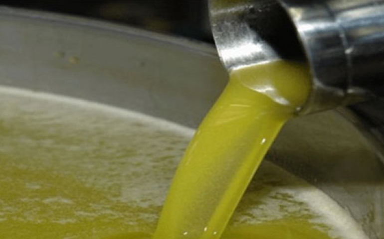 Tunisie: 423 millions de dinars de revenus des exportations de l’huile d’olive