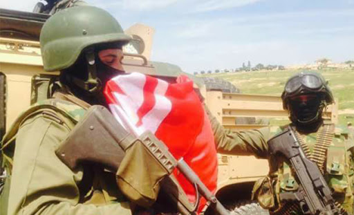 Classement des forces militaires selon Global FirePower : L’armée tunisienne au 81e rang
