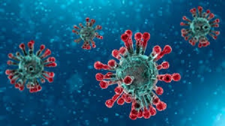 Coronavirus : Un seul cas suspect à Zaghouan testé négatif