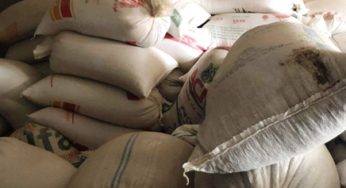 Tunisie [vidéo] : Distribution de farine et de semoule à Médenine