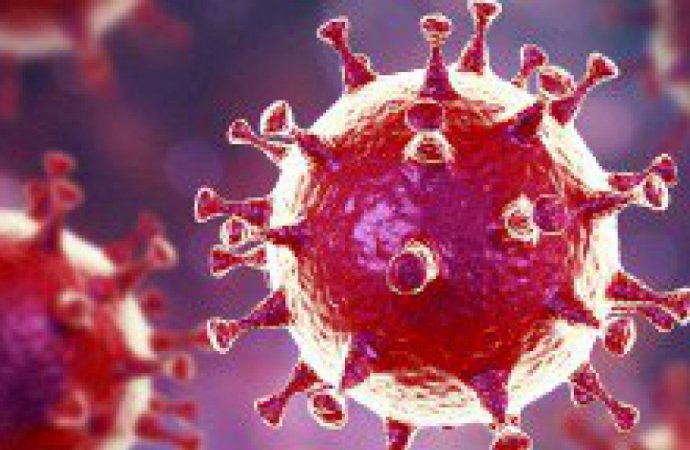 Coronavirus : Placement de 11 personnes en isolement à domicile à Médenine