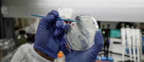 Coronavirus : La Belgique aurait trouvé le traitement miracle ?