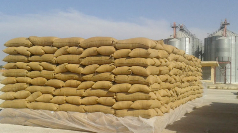 Tunisie: Baisse des importations des céréales au premier semestre