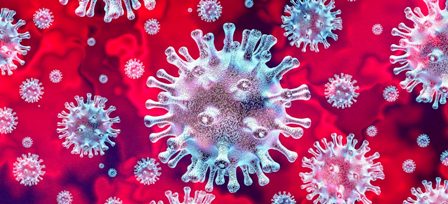 Coronavirus : Les chiffres à retenir !