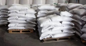 Tunisie – Sfax : Saisie de 18 tonnes de semoule et de farine chez un grossiste
