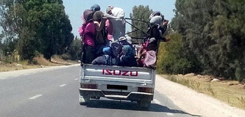 Tunisie – Sept ouvrières agricoles blessées dans un accident de la route au Régueb