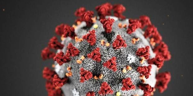 L’OMS tranche quant à l’origine du coronavirus de Wuhan
