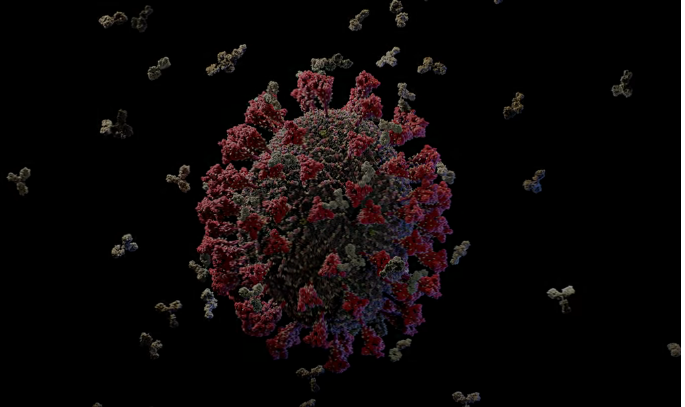 Coronavirus : Date de la fin de l’épidémie dans le monde  selon des scientifiques singapouriens