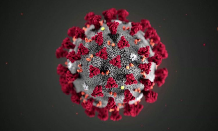 Coronavirus : la première en Europe transplantation pulmonaire d’un malade covid 19 dans un hôpital autrichien