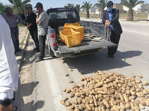 Tunisie [Photos]: Des agriculteurs déversent de la pomme de terre sur la chaussée à Jendouba pour protester contre l’effondrement des prix