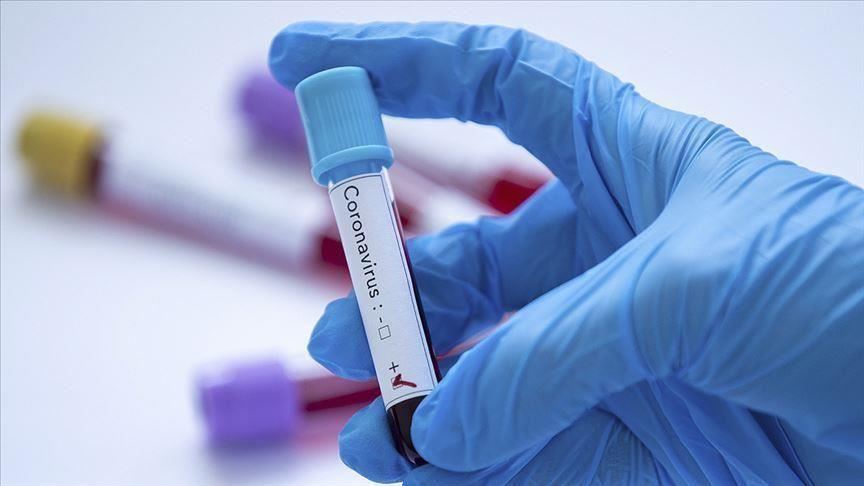 Coronavirus : Depuis le début de la crise sanitaire, 48.476 analyses de dépistage ont été effectuées