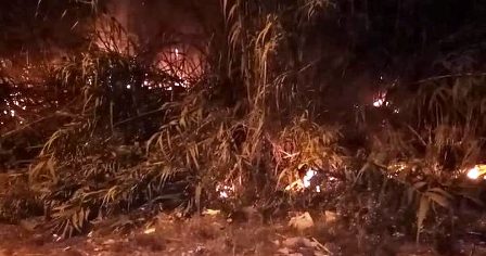 Tunisie – Sousse : Incendie dans une oliveraie à El Kantaoui