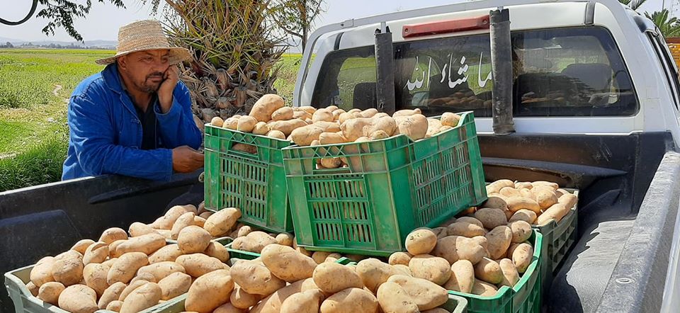 Tunisie – Le ministre du commerce perd la «bataille» des patates !